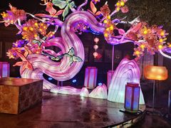 -横店影视城梦幻谷园区