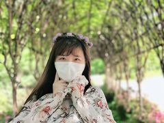 -木兰云雾山