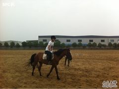 -松声马术俱乐部