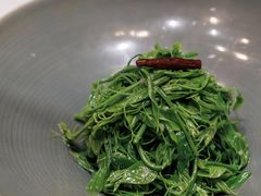 -深圳中洲万豪酒店