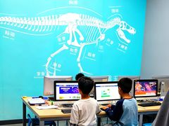 -斯坦星球AI编程·机器人科创·乐高科学·信奥·思维·专注力·STEM·竞赛考级(高新区绿宝广场龙湖狮山天街学习中心)