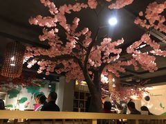 -香坝坝鲜鱼火锅(春熙路店)