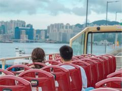 -Big Bus Tours 敞篷观光巴士