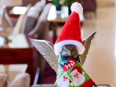 -上海明天广场JW万豪酒店