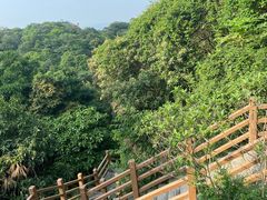 -广州市帽峰山景区