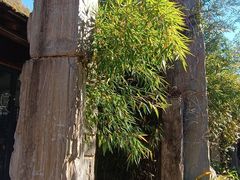 -凤凰小镇(慕容街店)