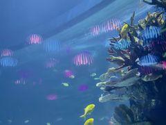 -欢乐海岸海洋奇梦馆