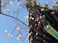 -潭柘寺景区