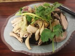 时件-九斤黄三黄鸡专卖店