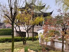 -枫桥景区
