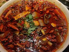 -陈麻婆豆腐(旗舰店)