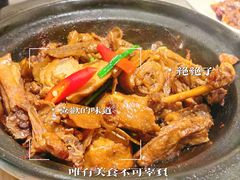 -百家春好德来姜母鸭