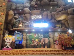 -卡通尼·Safari非洲探索乐园·生日会(金桥国际商业广场店)