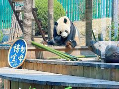 -大连森林动物园