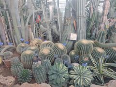 -国家植物园南园