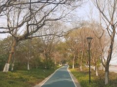 -城市阳台