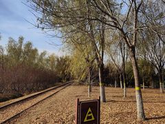 -永定河休闲森林公园