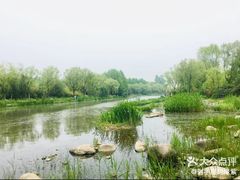 -新江湾城公园