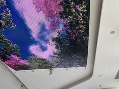 -平安金融中心云际观光层