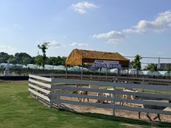-栖露营camping·天幕烧烤·团建拓展·采摘营地