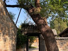 -红楼梦邮局