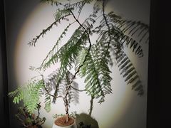 -石家庄万象城