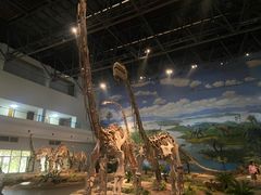 -自贡恐龙博物馆