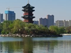 -迎泽公园