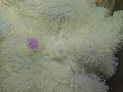 -嘉兴海底世界
