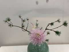 -杭州植物园