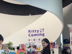 -小猫来了·猫舍(红山六九七九店)