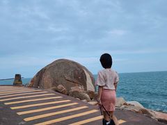 -广东惠东海龟国家级自然保护区