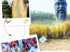 -昆山城市生态森林公园