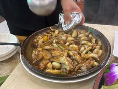 -源港渔村-中山脆肉鲩(博罗店)