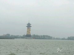 -溱湖国家湿地公园