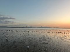 -深圳湾公园(南山区)
