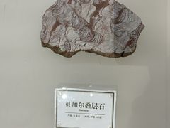 -辽宁古生物博物馆