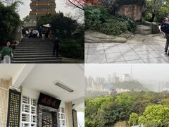 -鹅岭公园瞰胜楼