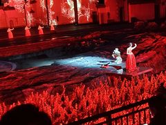 -婺源梦里老家大型山水实景演出