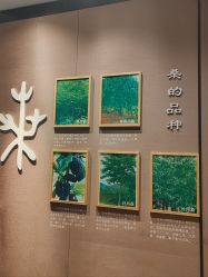-太湖雪蚕桑文化园