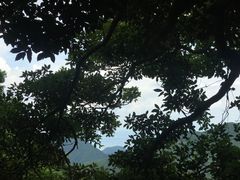 -银瓶嘴森林公园