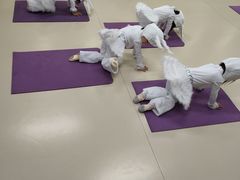 -红舞鞋舞蹈教育(近江校区)