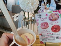 玫瑰桑果荔枝雪糕-哈根达斯(天河城店)