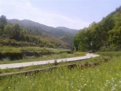 -祁门牯牛降观音堂风景区