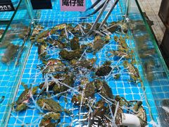 -都斛海鲜街