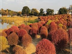 -径山花海
