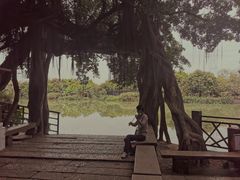 -小洲村