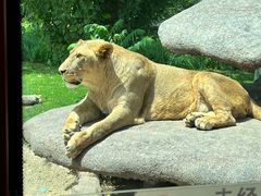-北京野生动物园