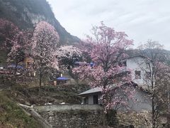 -九皇山景区