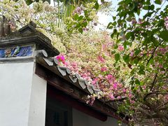 -深圳国际园林花卉博览园